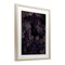Stupell Industries Raven with Gothic Florals Framed Print Under Glass, design by Lori Mosley